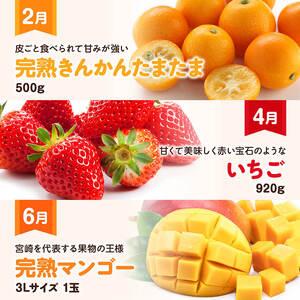ふるさと納税  デラックス 定期便 【偶数月】【 川南町産 きんかん いちご 完熟 マンゴー ぶどう シャイン マスカット メロン  全6回定期便 】 宮崎県川南町_2
