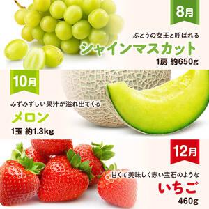 ふるさと納税  デラックス 定期便 【偶数月】【 川南町産 きんかん いちご 完熟 マンゴー ぶどう シャイン マスカット メロン  全6回定期便 】 宮崎県川南町_3