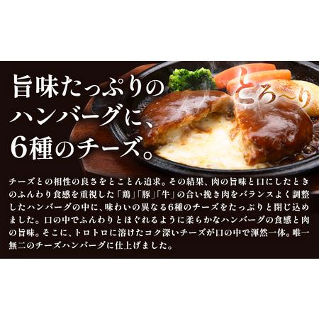ふるさと納税 ハンバーグ チーズインハンバーグ 10個 湯せん で 温めるだけ デミグラス 《7-14日以内に出荷予定(土日祝除く)》 簡単 調理 惣菜 .. 熊本県玉東町_1