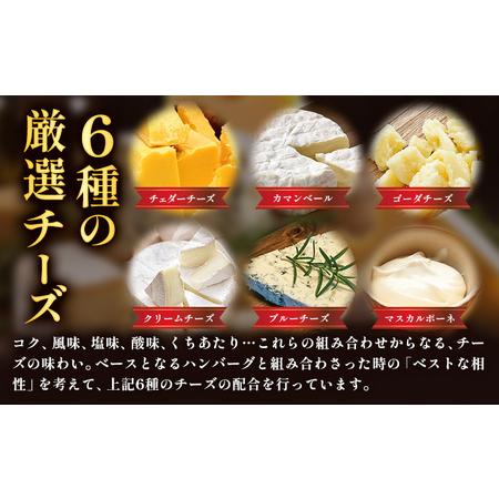 ふるさと納税 ハンバーグ チーズインハンバーグ 10個 湯せん で 温めるだけ デミグラス 《7-14日以内に出荷予定(土日祝除く)》 簡単 調理 惣菜 .. 熊本県玉東町_2