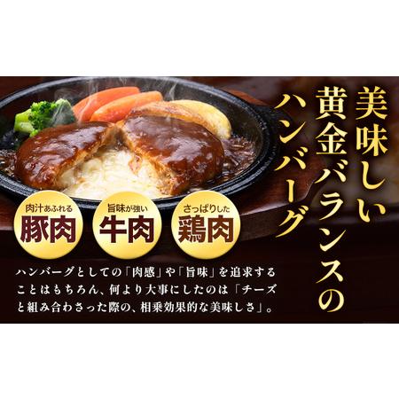 ふるさと納税 ハンバーグ チーズインハンバーグ 10個 湯せん で 温めるだけ デミグラス 《7-14日以内に出荷予定(土日祝除く)》 簡単 調理 惣菜 .. 熊本県玉東町_3