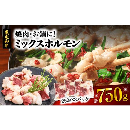 ふるさと納税 焼肉・お鍋に!ミックスホルモン750g(250g×3パック) K002-005_01 肉 牛肉 冷凍 鹿児島県鹿児島市
