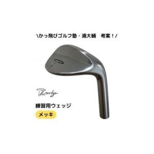 ふるさと納税 Thewedge 練習用 ウェッジ ( メッキ ) ゴルフウェッジ 