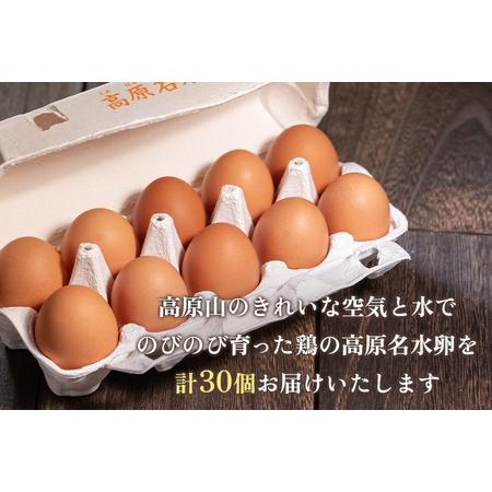 ふるさと納税 高原名水卵 30個 豊かな自然で育った ふるさと納税 高原名水卵 30個 豊かな自然で育った