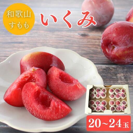 ふるさと納税 [先行予約]すもも(いくみ)4パック ※2027年6月上旬〜6月中旬頃に順次発送予定[期間限定・数量限定] / スモモ プラム 冷蔵 .. 和歌山県田辺市