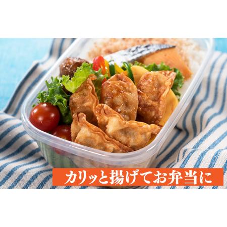 ふるさと納税 ZF108.福岡・博多の味『博多一口餃子』８０個入（４０個入×２Ｐ） 福岡県新宮町｜furunavi｜02