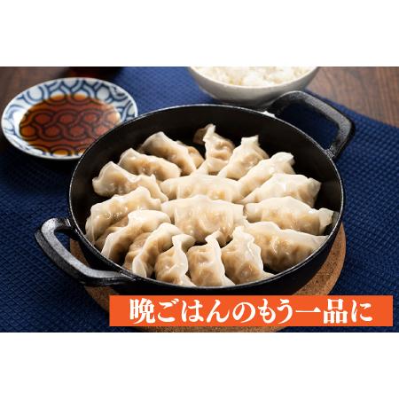 ふるさと納税 ZF108.福岡・博多の味『博多一口餃子』８０個入（４０個入×２Ｐ） 福岡県新宮町｜furunavi｜03