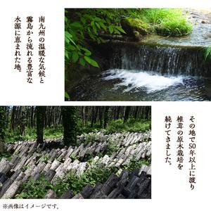 ふるさと納税 きのこ 国産 しいたけ(計240g・2袋)【九南サービス(タマチャンショップ)】A500-v01 鹿児島県曽於市_1