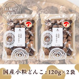 ふるさと納税 きのこ 国産 しいたけ(計240g・2袋)【九南サービス(タマチャンショップ)】A500-v01 鹿児島県曽於市_4