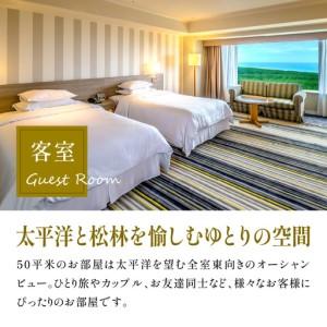 ふるさと納税 《2026年9月発券》【1泊お食事なし】ペア宿泊券　スタンダードツイン(50平方メートル) ホテル 温泉 観光 宮崎県宮崎市_3
