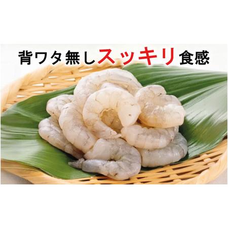 ふるさと納税 えび 【3ヶ月連続】越前若狭食宝庫の高級 むきえび【ホワイトバナメイエビ冷凍】800g/約90〜100尾x2 エビ 海老 エビフライ バナメ.. 福井県若狭町_2