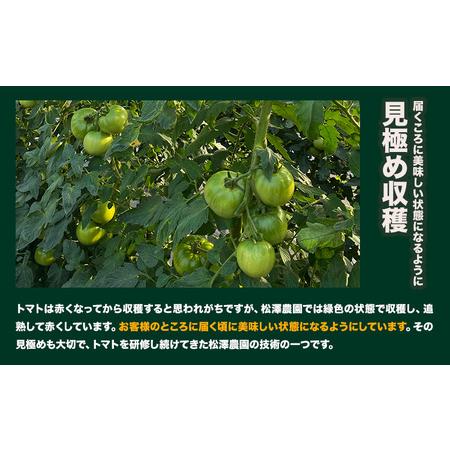 ふるさと納税 大玉トマト4kg (18-24玉) 松澤農園  岩手県 九戸村  岩手県九戸村_2