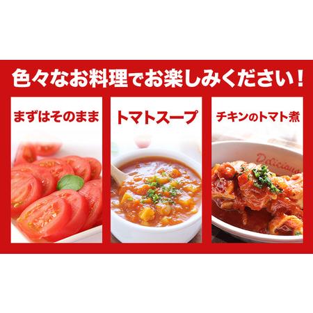 ふるさと納税 大玉トマト4kg (18-24玉) 松澤農園  岩手県 九戸村  岩手県九戸村_4