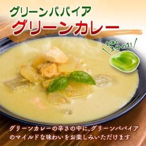 ふるさと納税 グリーンパパイア レトルト カレー セット 全2種 200g×計4袋 宮崎県産 宮崎県_2