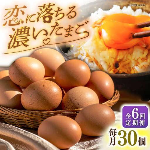 ふるさと納税 特選卵 30個 6回定期便 [JAP020] 卵 定期便 長崎県壱岐市