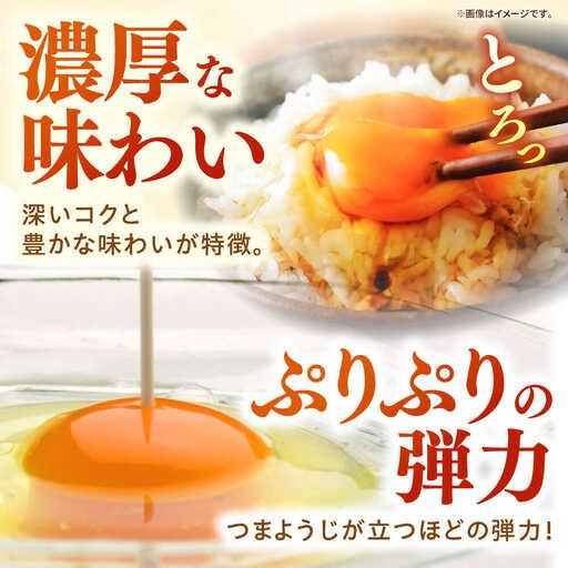 ふるさと納税 特選卵 30個 6回定期便 [JAP020] 卵 定期便 長崎県壱岐市