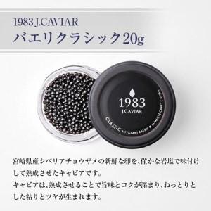 ふるさと納税 金・プラチナ象嵌「光琳」1983 J.CAVIAR BOWL 皇晶\u0026キャビア20g 宮崎県_2