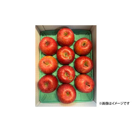 ふるさと納税 先行予約盛岡北田りんご園 完熟サンふじ 約3kg(8 ふるさと納税 先行予約盛岡北田りんご園 完熟サンふじ 約3kg(8
