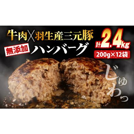 ふるさと納税 ハンバーグ 個包装 2.4kg ギフト お歳暮 大判ハンバーグ 埼玉県羽生市