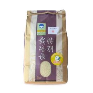 ふるさと納税 [定期便 10kg×3ヶ月] 県認証 特別栽培米 コシヒカリ 「極」 合計30kg 無洗米 令和7年産米 一等米 こしひかり 新潟県認証 白米 新潟県三条市_1