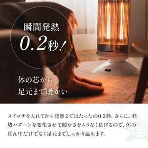 ふるさと納税 アラジン 遠赤 グラファイトヒーター 2灯 グリーン 緑