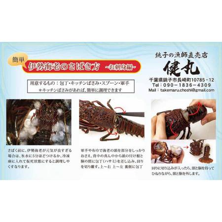 ふるさと納税 【 伊勢海老 】 活き〆冷凍伊勢海老 3kg 千葉県銚子市_1