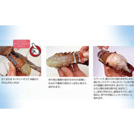 ふるさと納税 【 伊勢海老 】 活き〆冷凍伊勢海老 3kg 千葉県銚子市_2