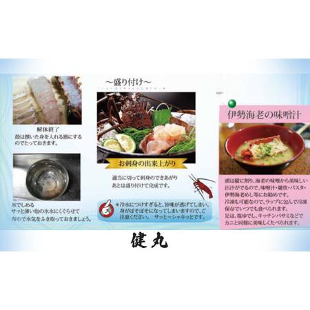 ふるさと納税 【 伊勢海老 】 活き〆冷凍伊勢海老 3kg 千葉県銚子市_3