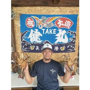 ふるさと納税 【 伊勢海老 】 活き〆冷凍伊勢海老 3kg 千葉県銚子市_4