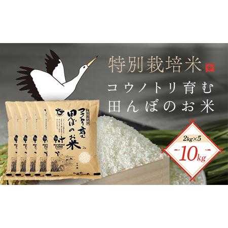 ふるさと納税 [先行予約 令和8年産]特別栽培米 コウノトリ育む田んぼのお米 10kg(2kg×5袋)[村上ファーム] お米 おこめ 米 こめ コメ .. 兵庫県朝来市