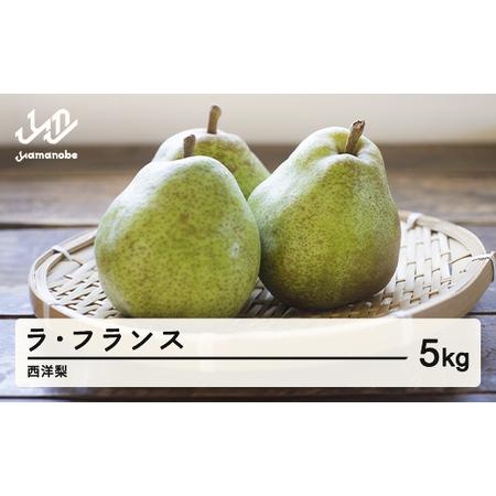 ふるさと納税 《先行予約》山形県産 西洋梨 ラ・フランス 令和7 ふるさと納税 《先行予約》山形県産 西洋梨 ラ・フランス 令和7