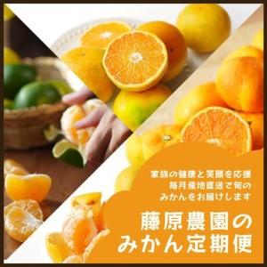 ふるさと納税 【毎月お届け全12回】みかんのサブスク 定期便 頒布会｜旬のカンキツを産地直送で毎月お届け 家庭用 和歌山県 海南市 【毎月お届.. 和歌山県海南市_1