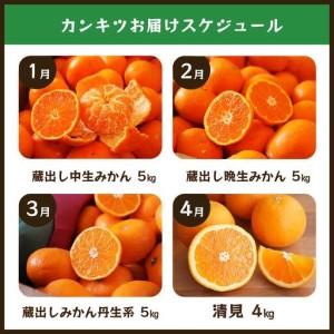 ふるさと納税 【毎月お届け全12回】みかんのサブスク 定期便 頒布会｜旬のカンキツを産地直送で毎月お届け 家庭用 和歌山県 海南市 【毎月お届.. 和歌山県海南市_2