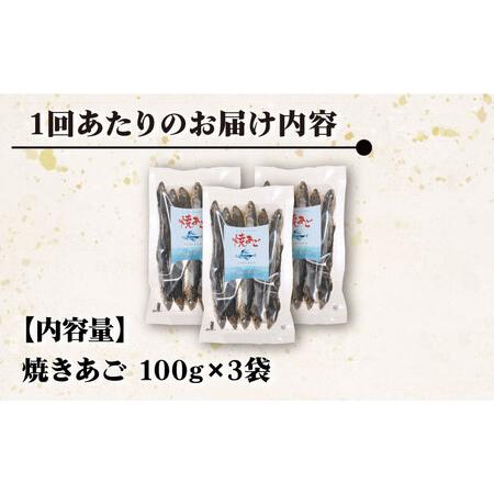 ふるさと納税 【全6回定期便】焼きあご 100g×3袋[RBC011] だし 出汁 あごだし 定期便 だし 出汁 あごだし 定期便 だし 出汁 あごだし .. 長崎県新上五島町_1