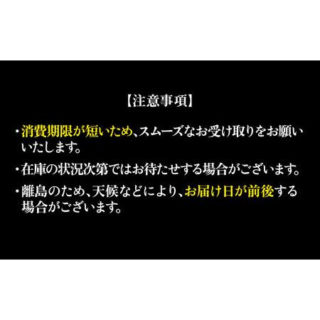 ふるさと納税 【全3回定期便】五島列島産養殖生本かみまぐろ 中トロ 500g[RBP064] 本マグロ 本まぐろ 定期便 本マグロ 本まぐろ 定期便 本マ.. 長崎県新上五島町の画像