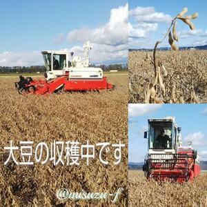 ふるさと納税 みすずのこいくち醤油　6本【配送不可地域：離島・沖縄県】【1506407】 秋田県大潟村_1