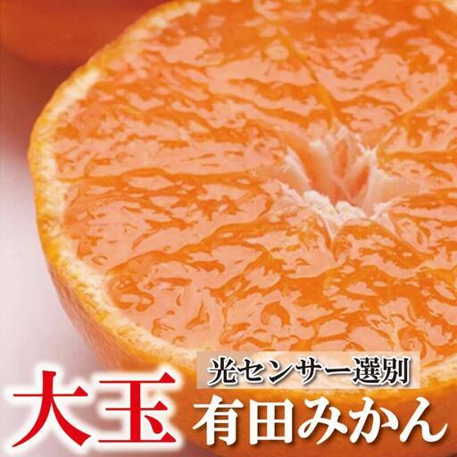 ふるさと納税 家庭用 大きな有田みかん(完熟)2.5kg+250g(傷み補償分)[わけあり・訳あり][光センサー選果][11月上旬より順次発送予.. 和歌山県古座川町
