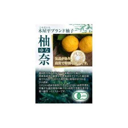 ふるさと納税 柚奈鹿麗（ゆなかれー）5個  徳島県美馬市_2