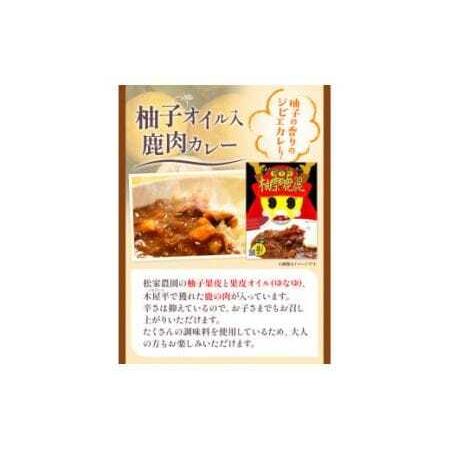 ふるさと納税 柚奈鹿麗（ゆなかれー）5個  徳島県美馬市_3