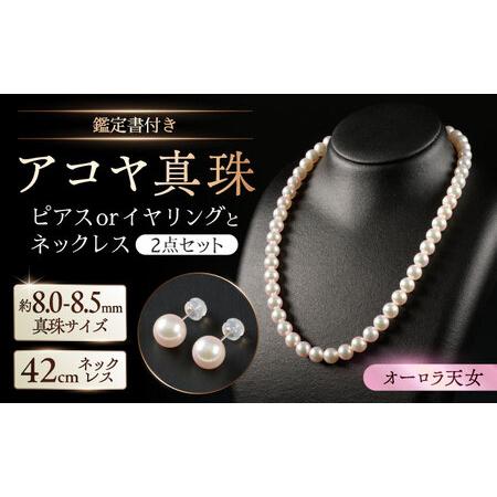 ふるさと納税 【選べる！】【個数限定！】【オーロラ天女・真珠科学 
