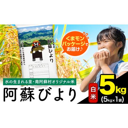 ふるさと納税 白米 阿蘇びより 5kg (5kg×1袋) [7-14日以内に出荷予定(土日祝除く)] 熊本県南阿蘇村