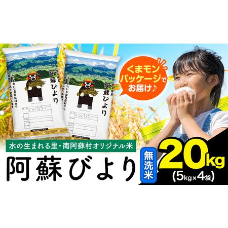 ふるさと納税 無洗米 阿蘇びより 20kg (5kg×4袋) 無洗 熊本県南阿蘇村