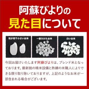 ふるさと納税 無洗米 阿蘇びより 20kg (5kg×4袋) 無洗 熊本県南阿蘇村