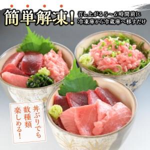 ウトレットストア ふるさと納税 a10-359　簡単解凍！ご飯に乗せるだけの焼津直送お手軽南鮪 静岡県焼津市