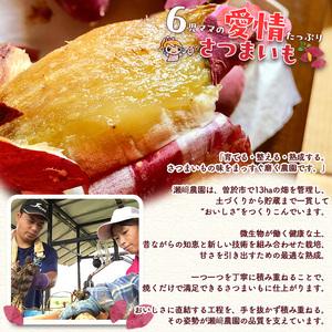 ふるさと納税 ＜先行予約受付中！2026年8月以降順次発送予定！＞鹿児島県 曽於市産 新物 紅はるか(10kg) 芋 さつまいも【瀬崎農園】A350-v02 鹿児島県曽於市の画像