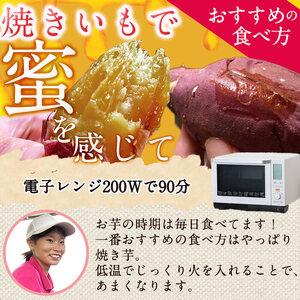 ふるさと納税 ＜先行予約受付中！2026年8月以降順次発送予定！＞鹿児島県 曽於市産 新物 紅はるか(10kg) 芋 さつまいも【瀬崎農園】A350-v02 鹿児島県曽於市の画像