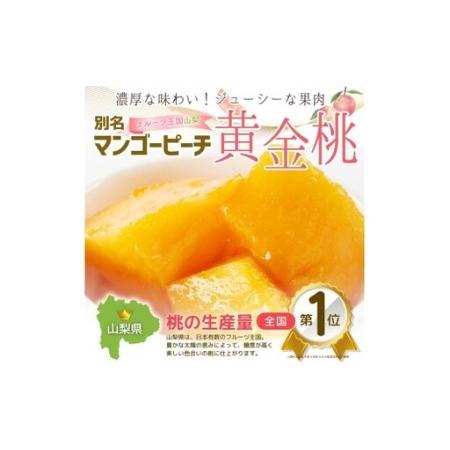 ふるさと納税 朝もぎ直送「黄金桃」5〜8玉 約2kg規格箱入り【高機能共選機使用】選び抜かれた桃《もも 先行予約》 2026年 夏 発送 山梨県産 モ.. 山梨県丹波山村の画像