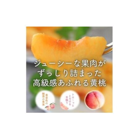 ふるさと納税 朝もぎ直送「黄金桃」5〜8玉 約2kg規格箱入り【高機能共選機使用】選び抜かれた桃《もも 先行予約》 2026年 夏 発送 山梨県産 モ.. 山梨県丹波山村の画像