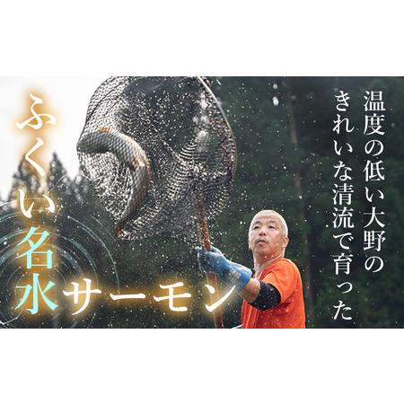 ふるさと納税 【希少】福井県大野市産 ふくい名水サーモン 片身 約600g（生食・加熱用）真空冷凍 [A-014010] 福井県大野市_1
