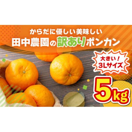 ふるさと納税 [先行予約]訳ありポンカン 5kg(3Lサイズ) 国産 東洋町産 訳あり 甘酸っぱい ジューシー 蜜柑 ミカン 有機肥料 高知県 東洋町 .. 高知県東洋町